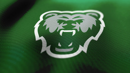 Premium Bear Mascot Sports Logo // Ursa