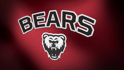 Premium Bear Mascot Sports Logo // Ursa