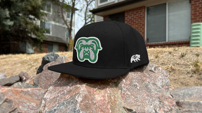 Premium Bulldog Mascot Sports Logo // Tank