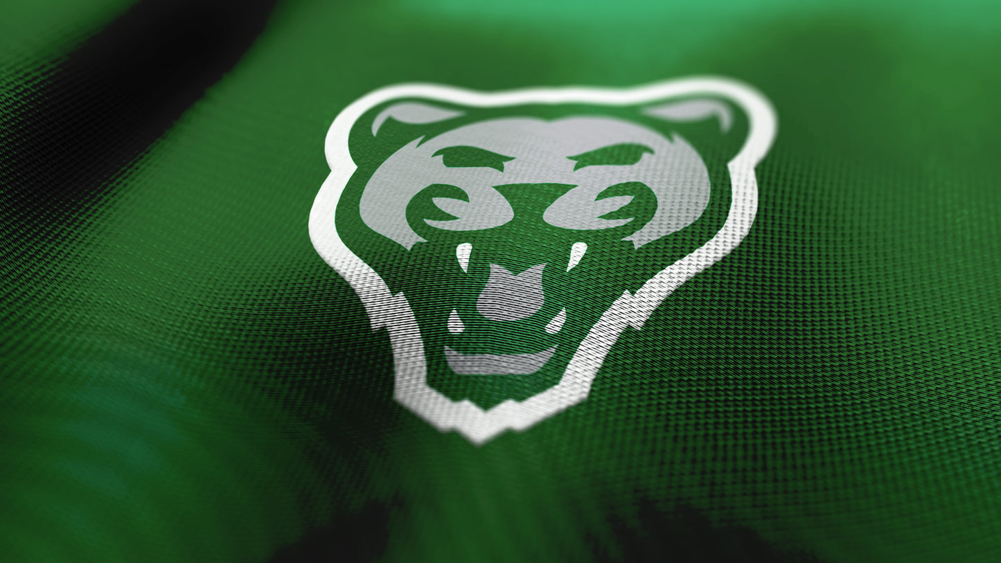 Premium Cougar Mascot Sports Logo // Storm