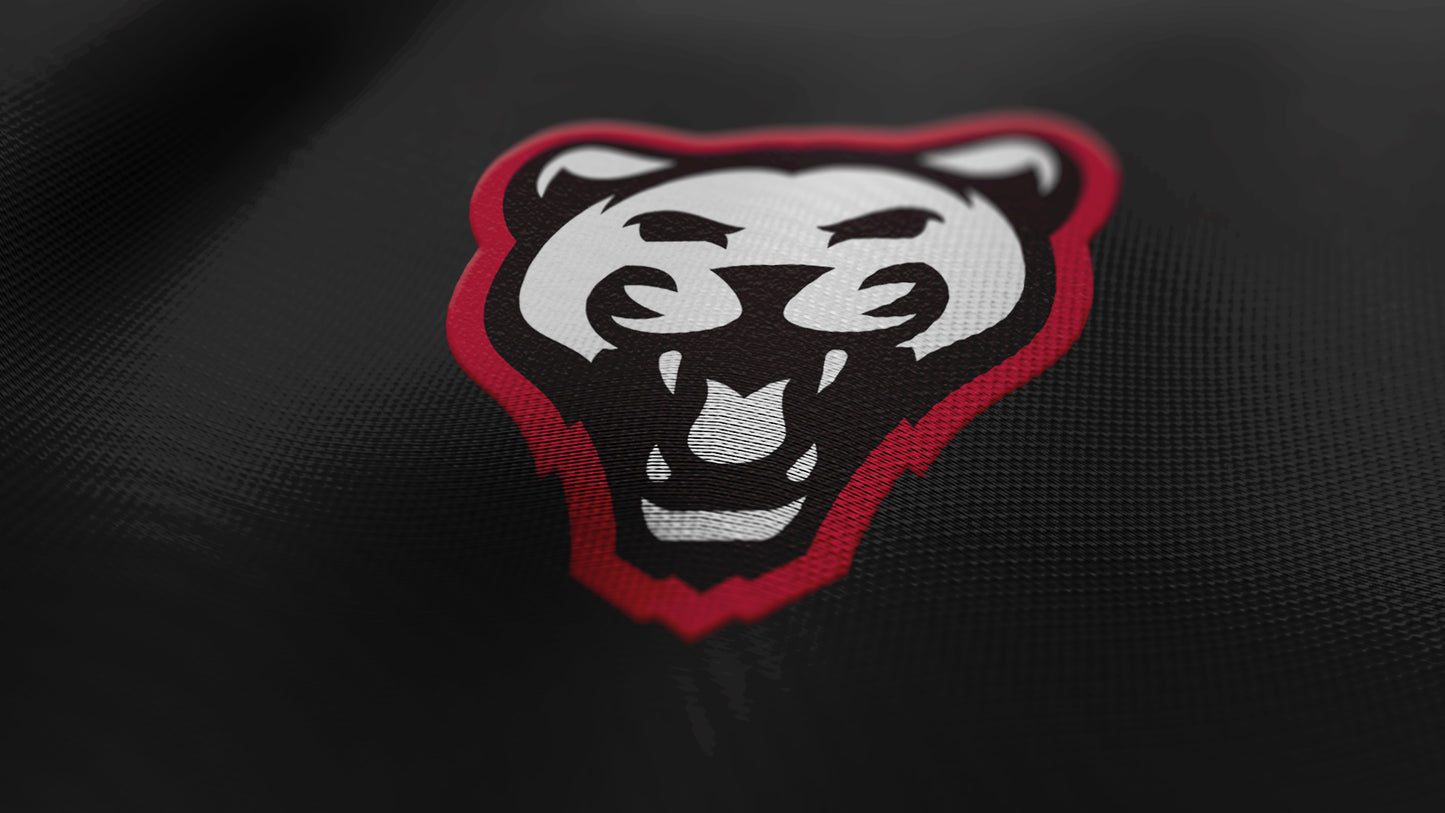 Premium Cougar Mascot Sports Logo // Storm