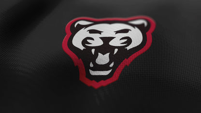 Premium Cougar Mascot Sports Logo // Storm