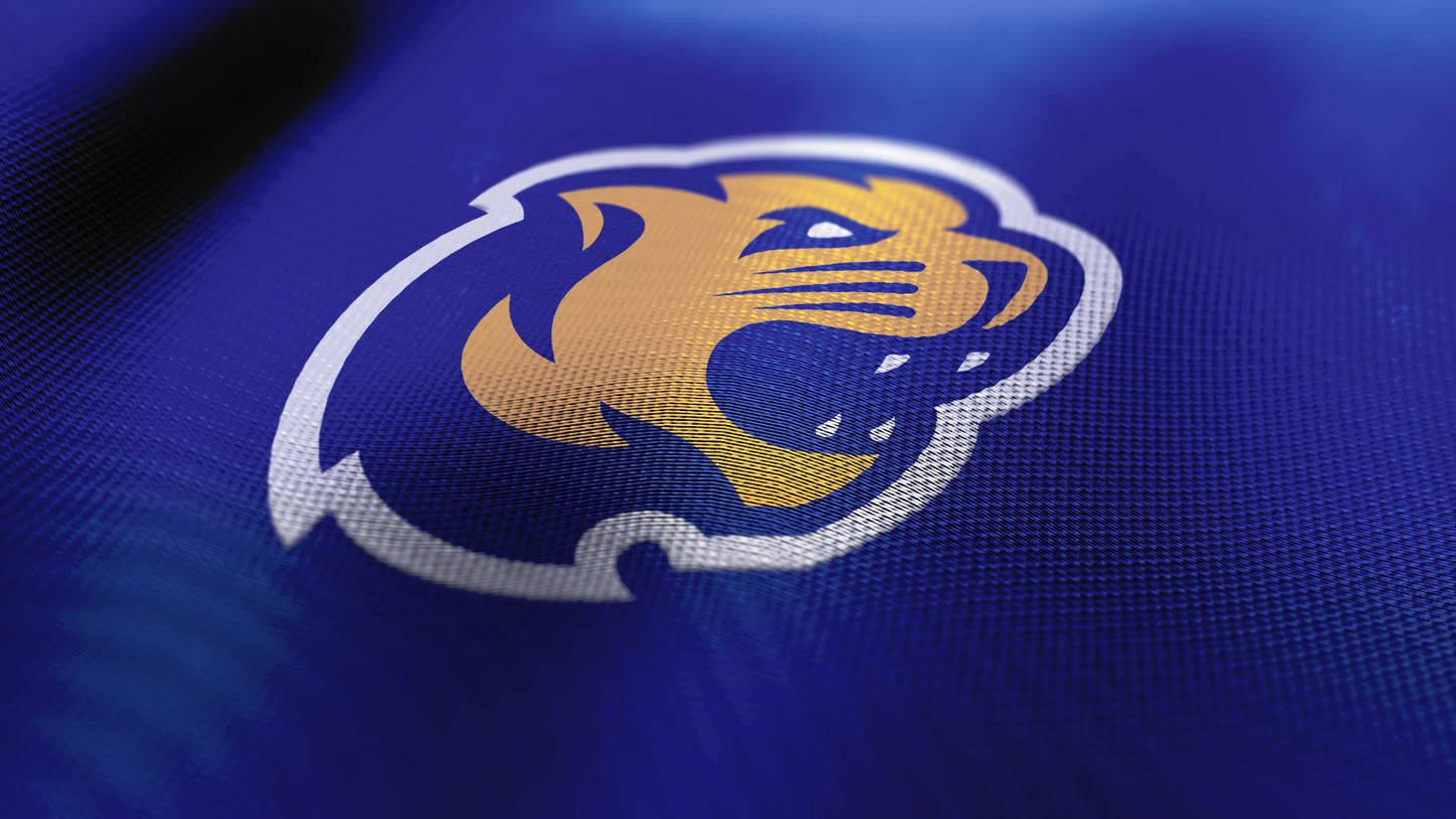 Premium Cougar Mascot Sports Logo // Summit