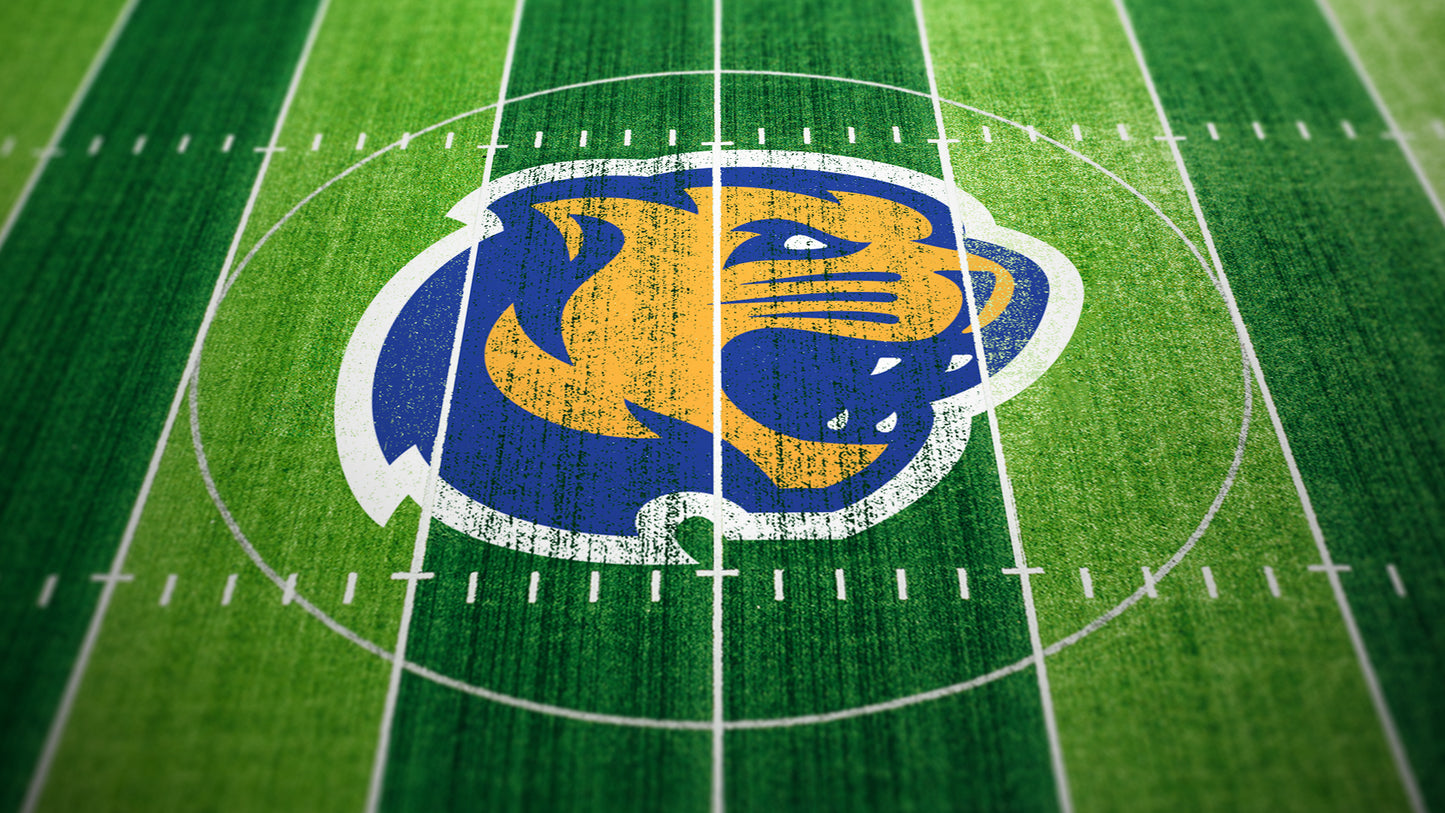 Premium Cougar Mascot Sports Logo // Summit
