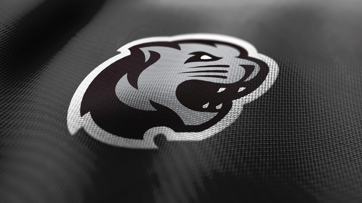Premium Cougar Mascot Sports Logo // Summit