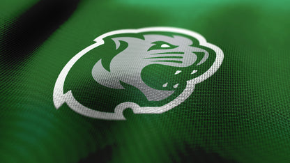 Premium Cougar Mascot Sports Logo // Summit