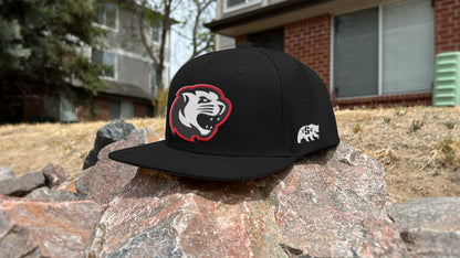 Premium Cougar Mascot Sports Logo // Summit