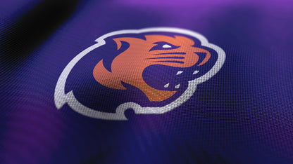 Premium Cougar Mascot Sports Logo // Summit