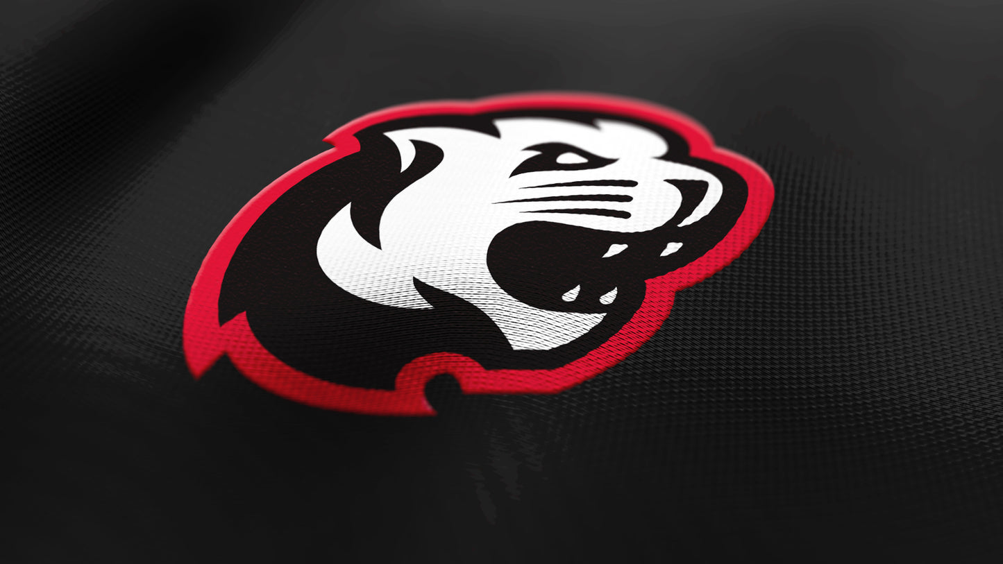 Premium Cougar Mascot Sports Logo // Summit