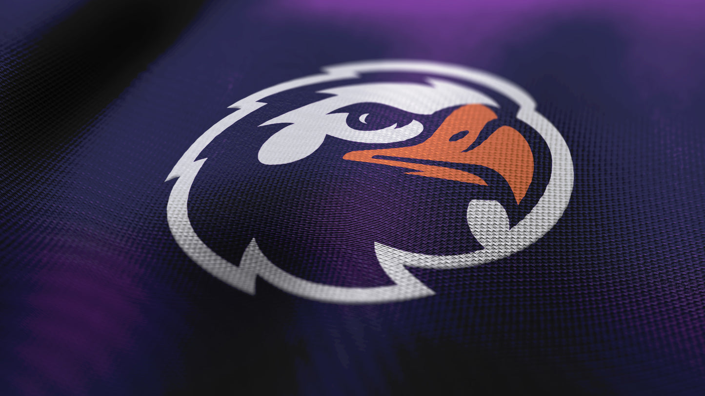 Premium Eagle Mascot Sports Logo // Zenith