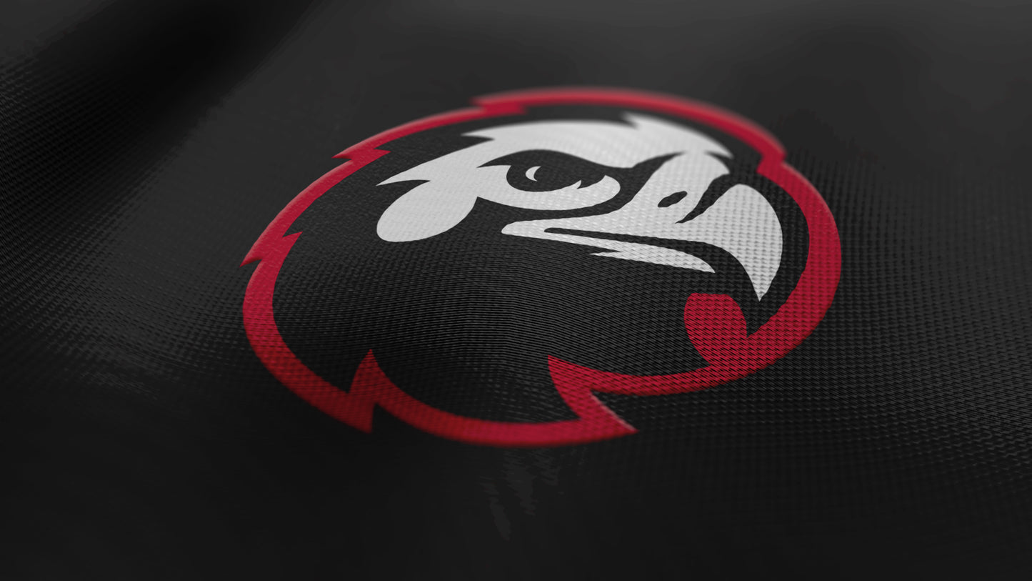 Premium Eagle Mascot Sports Logo // Zenith