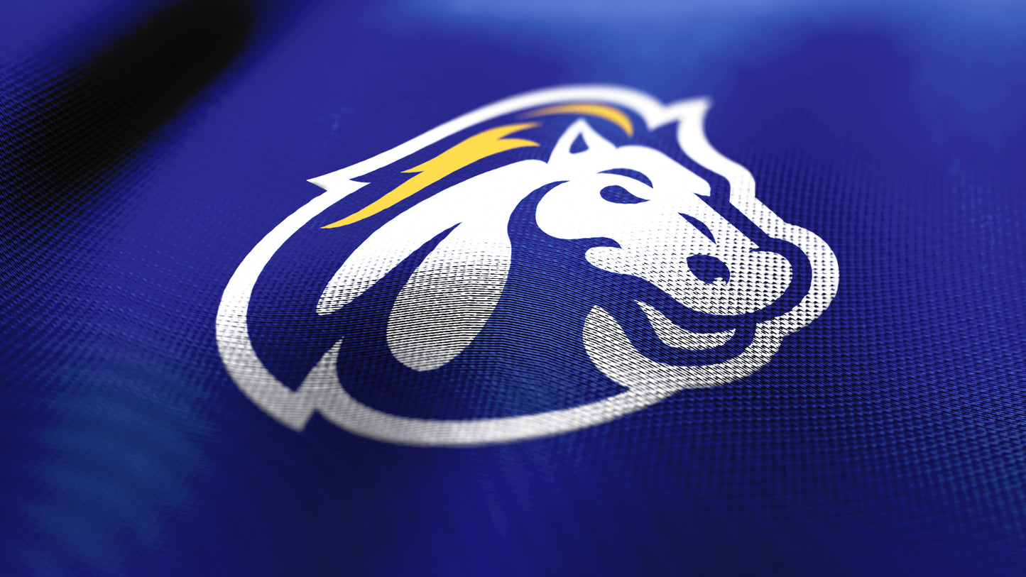 Premium Mustang Mascot Sports Logo // Tundra