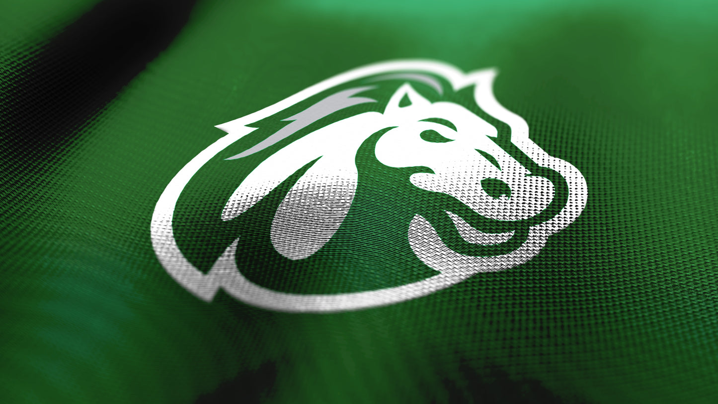 Premium Mustang Mascot Sports Logo // Tundra