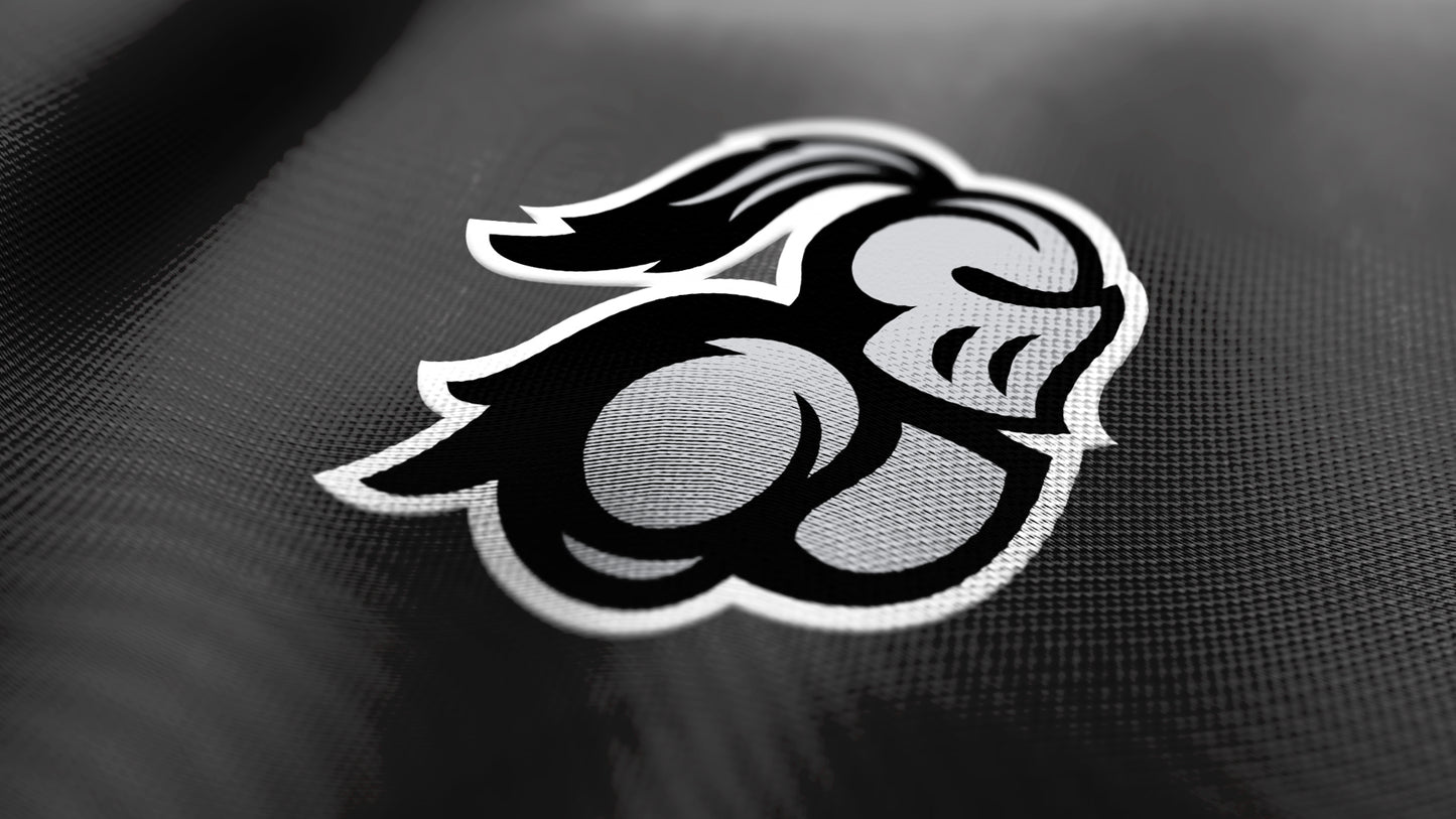 Premium Knight Mascot Sports Logo // Cassel