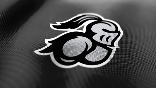 Premium Knight Mascot Sports Logo // Cassel
