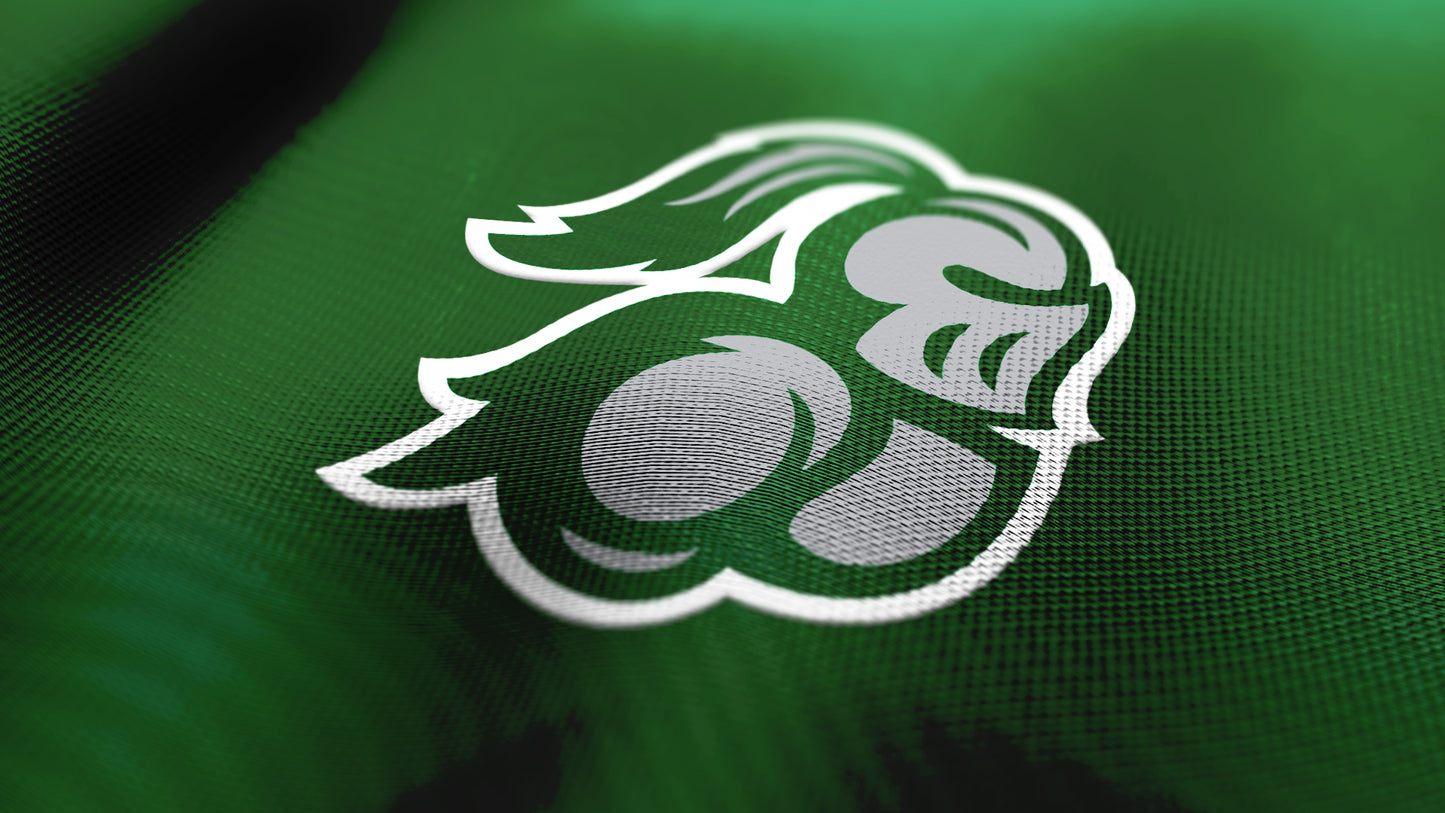 Premium Knight Mascot Sports Logo // Cassel