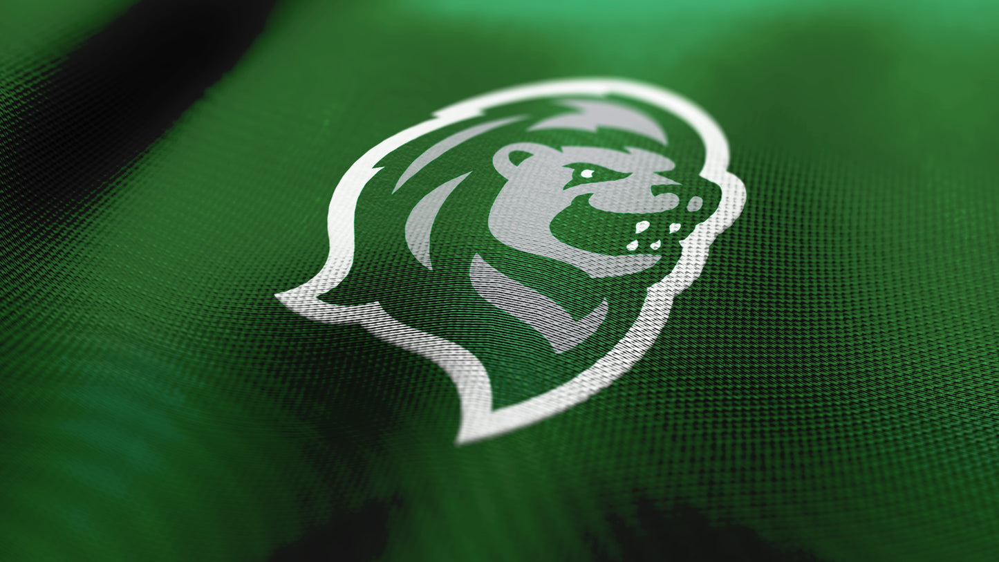 Premium Lion Mascot Sports Logo // Laurel