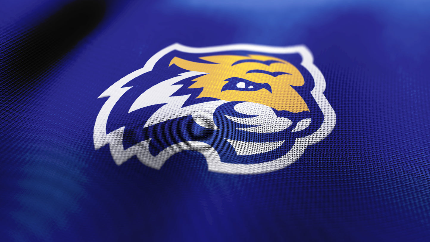 Premium Tiger Mascot Sports Logo // Czar