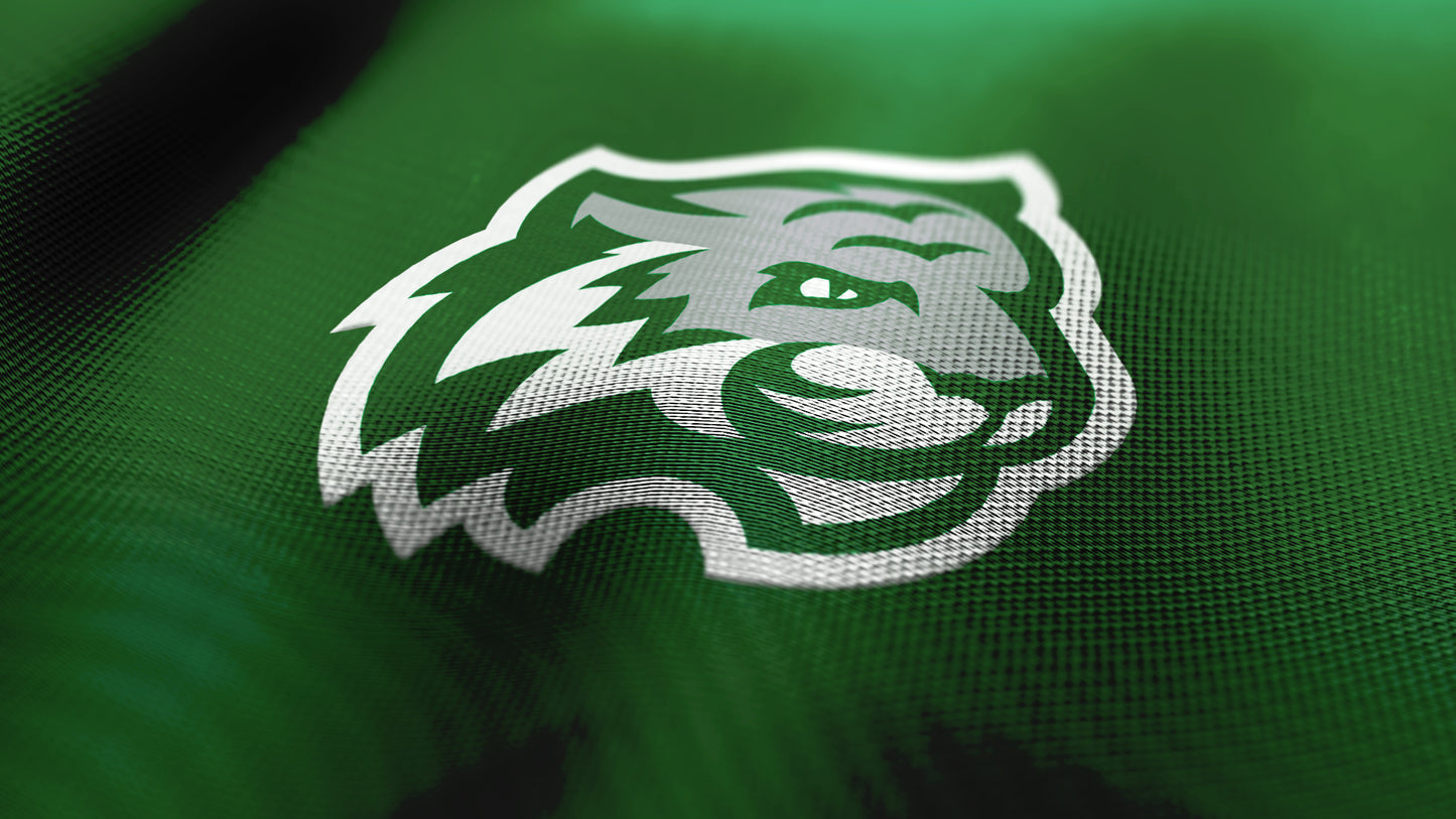 Premium Tiger Mascot Sports Logo // Czar