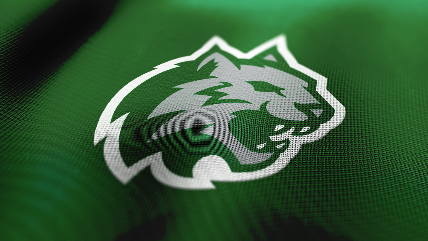 Premium Wildcat Mascot Sports Logo // Onyx