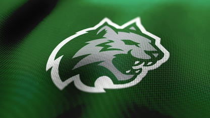 Premium Wildcat Mascot Sports Logo // Onyx